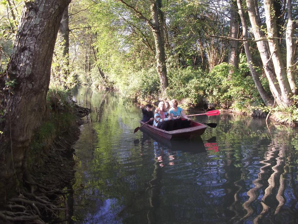 Le Moulin Du Modon Proche Du Zooparc De Beauval Bed and Breakfast Couffy Εξωτερικό φωτογραφία